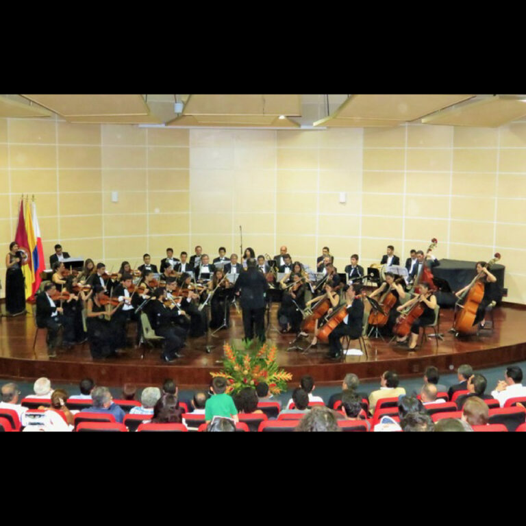 Orquesta Sinfónica de la Universidad del Tolima Ver Biografía